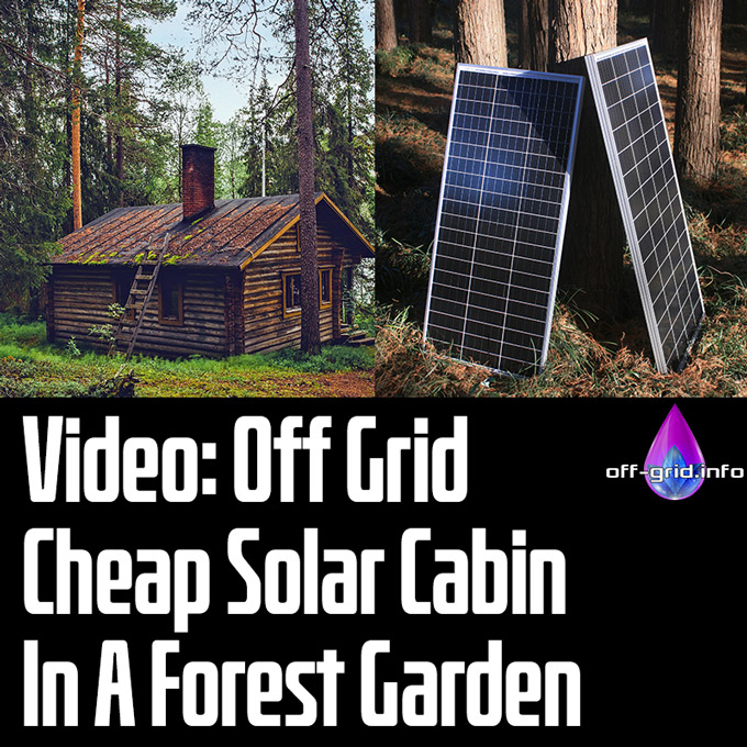 Video Off Grid Cheap Solar Cabin In A Forest Garden