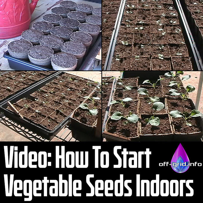 Video How To Start Vegetable Seeds Indoors