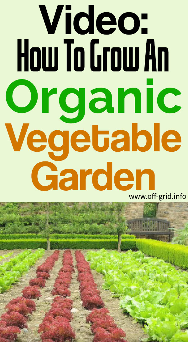 Video - How To Grow An Organic Vegetable Garden