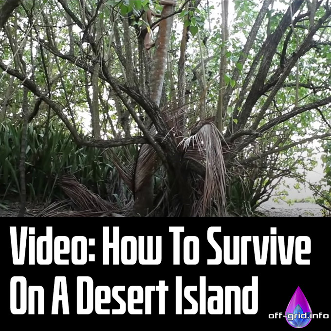 Video How To Survive On A Desert Island