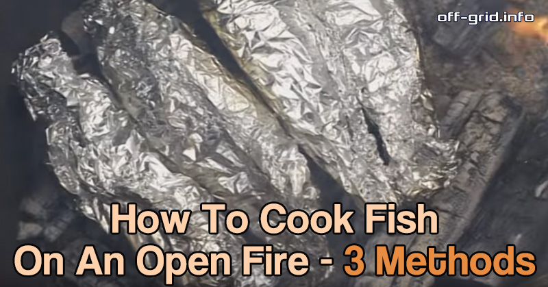 How To Cook Fish On An Open Fire - 3 Methods