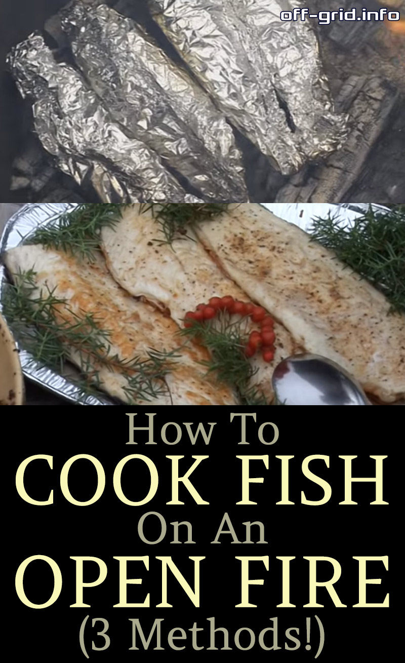 How To Cook Fish On An Open Fire – 3 Methods