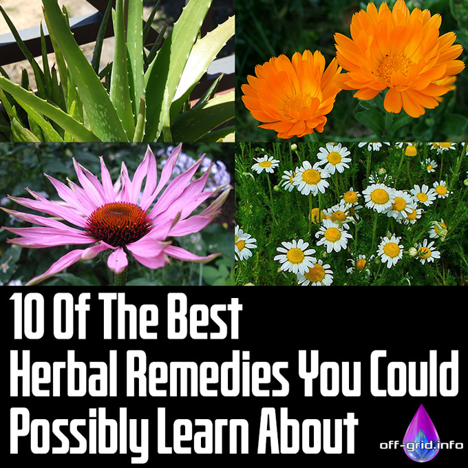 10 Of The Best Herbal Remedies You Could Possibly Learn About