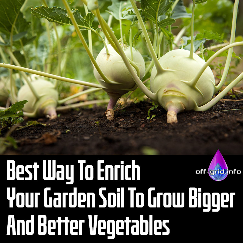 Best Way To Enrich Your Garden Soil To Grow Bigger And Better Vegetables