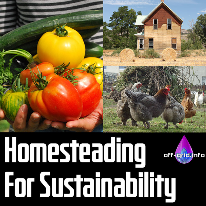 Homesteading For Sustainability