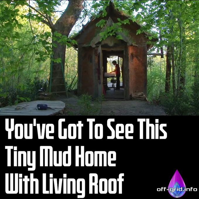You've Got To See This Tiny Mud Home With Living Roof