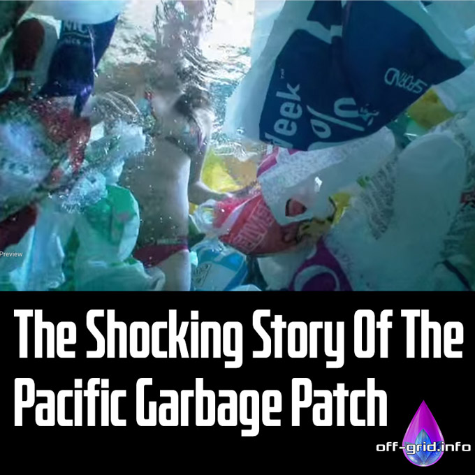 The Shocking Story Of The Pacific Garbage Patch