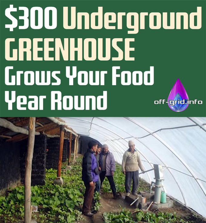 $300 Underground Greenhouse Grows Your Food Year Round