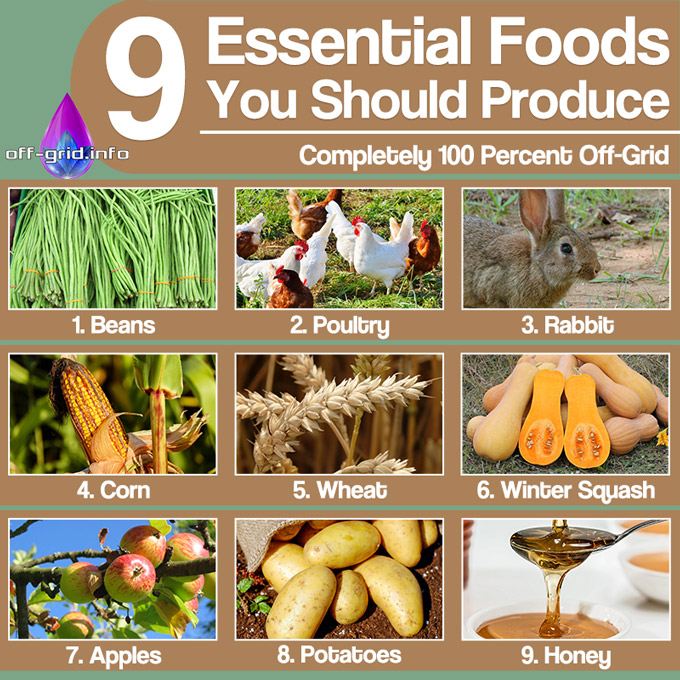 Completely 100 Percent Off-Grid - 9 Essential Foods You Should Produce