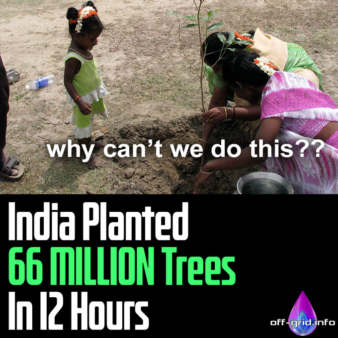India Planted 66 Million Trees In 12 Hours