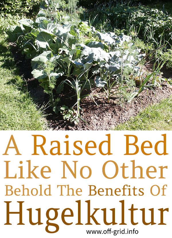 A Raised Bed Like No Other Behold The Benefits of Hugelkultur