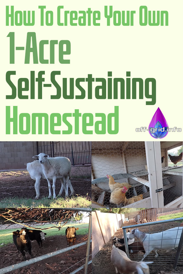 How To Create Your Own 1-Acre Self-Sustaining micro Farm Homestead