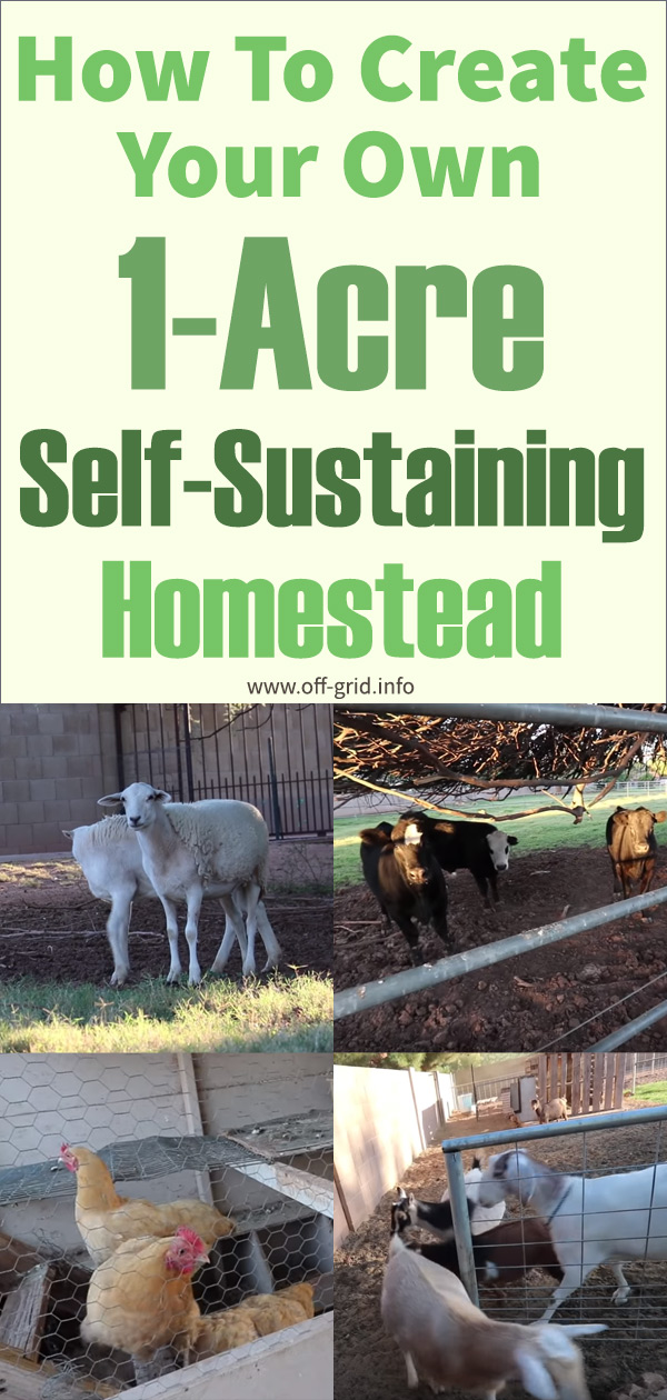 How To Create Your Own 1-Acre Self-Sustaining micro Farm Homestead