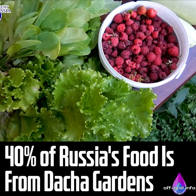40-Percent of Russia's Food Is From Dacha Gardens