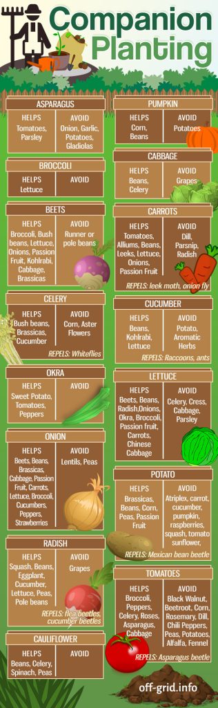 Companion Planting Guide - Pin, Share, Print Out - Off-Grid