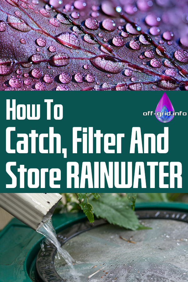 How To Catch, Filter And Store Rainwater