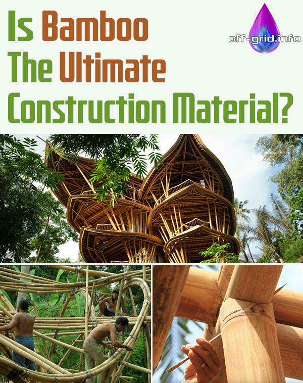 Is Bamboo The Ultimate Construction Material