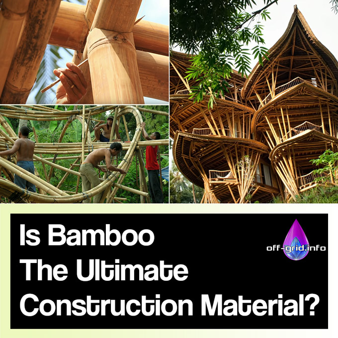 Is Bamboo The Ultimate Construction Material