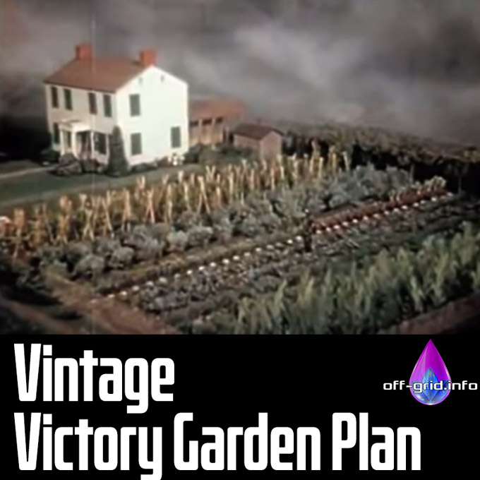 Vintage Victory Garden Plan