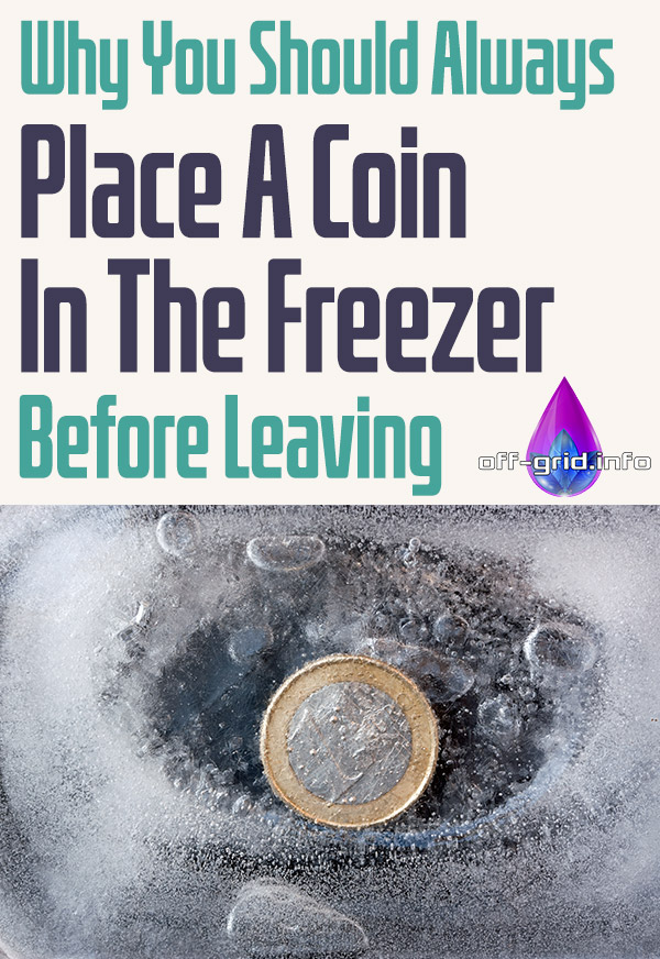 Why You Should Always Place A Coin In The Freezer Before Leaving