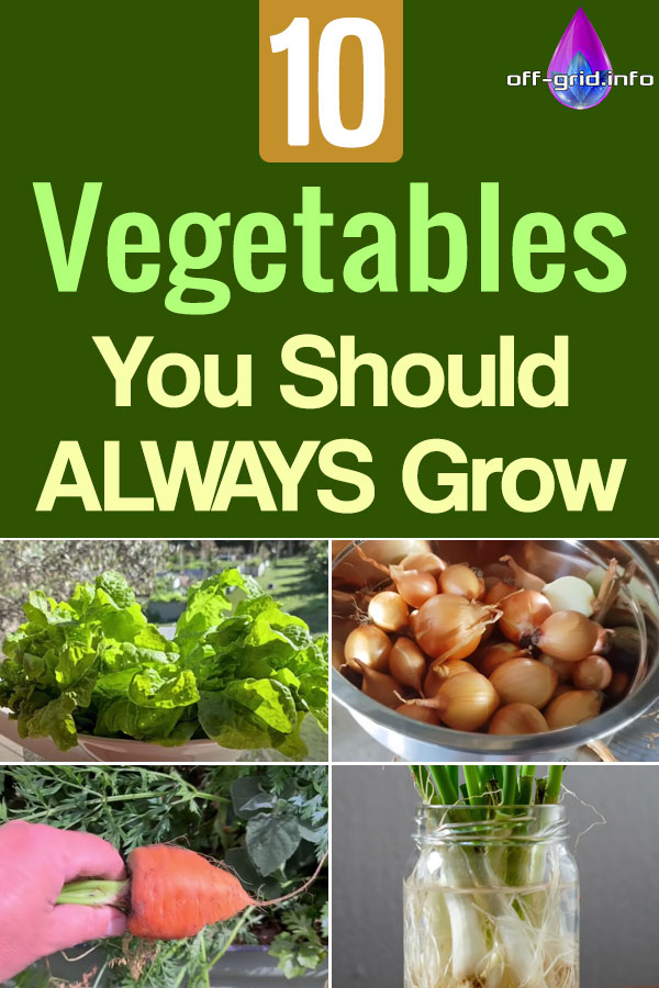 10 Vegetables You Should ALWAYS Grow 