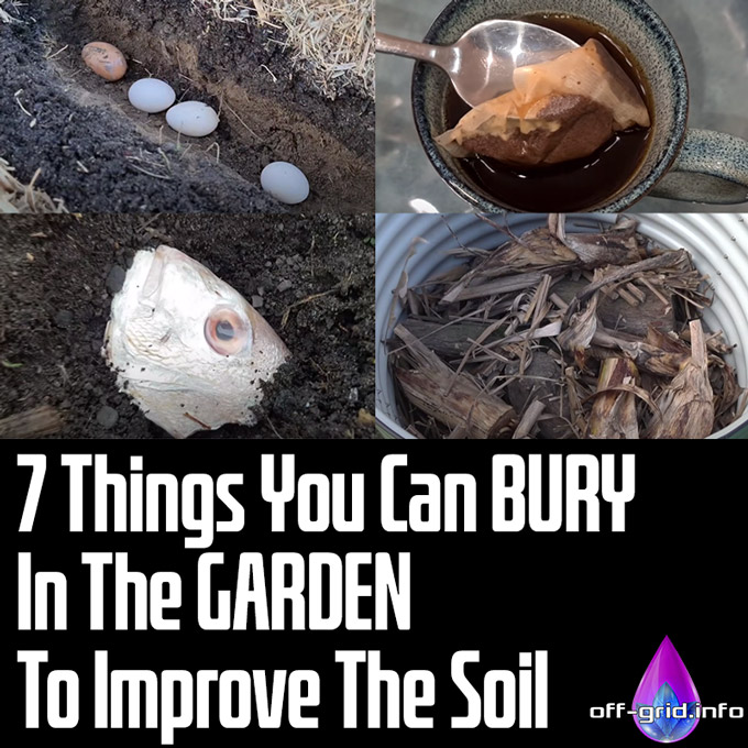 7 Things You Can BURY In The GARDEN To Improve The Soil