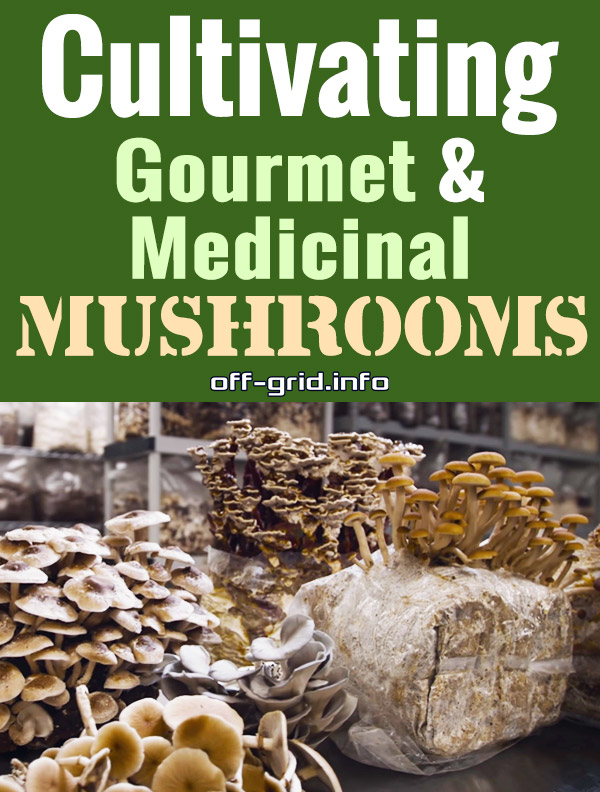 Cultivating Gourmet And Medicinal Mushrooms