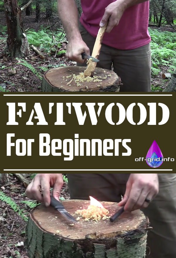 Fatwood For Beginners