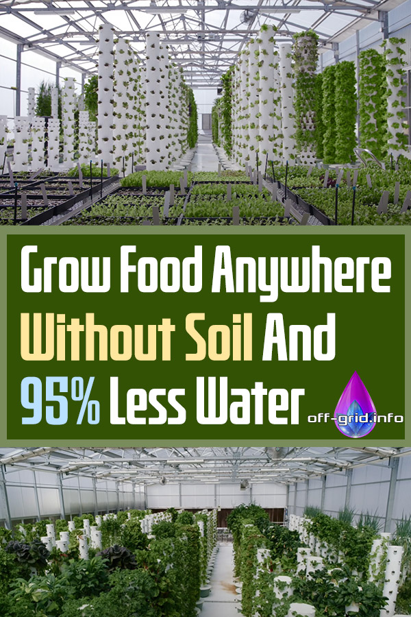 Grow Food Anywhere Without Soil And 95% Less Water