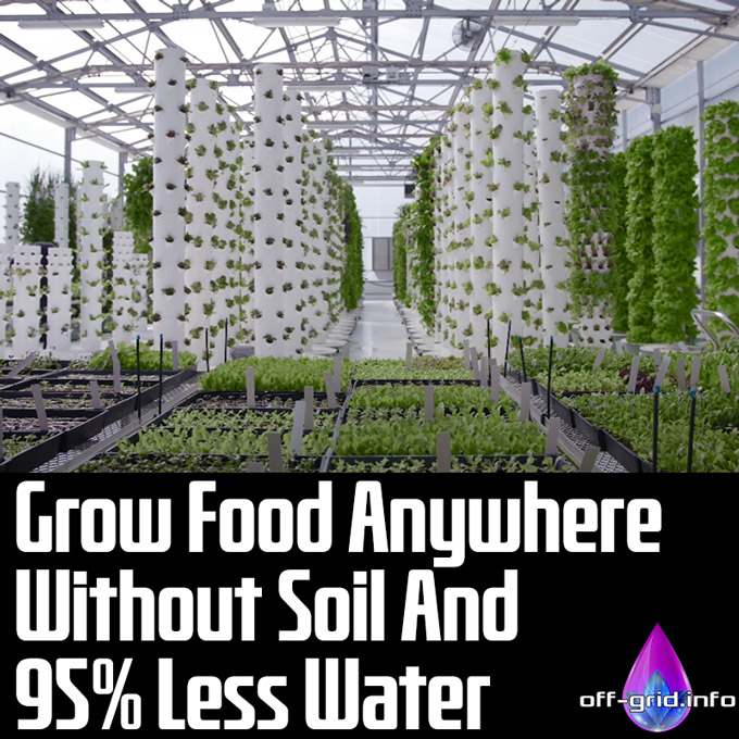 Grow Food Anywhere Without Soil And 95% Less Water