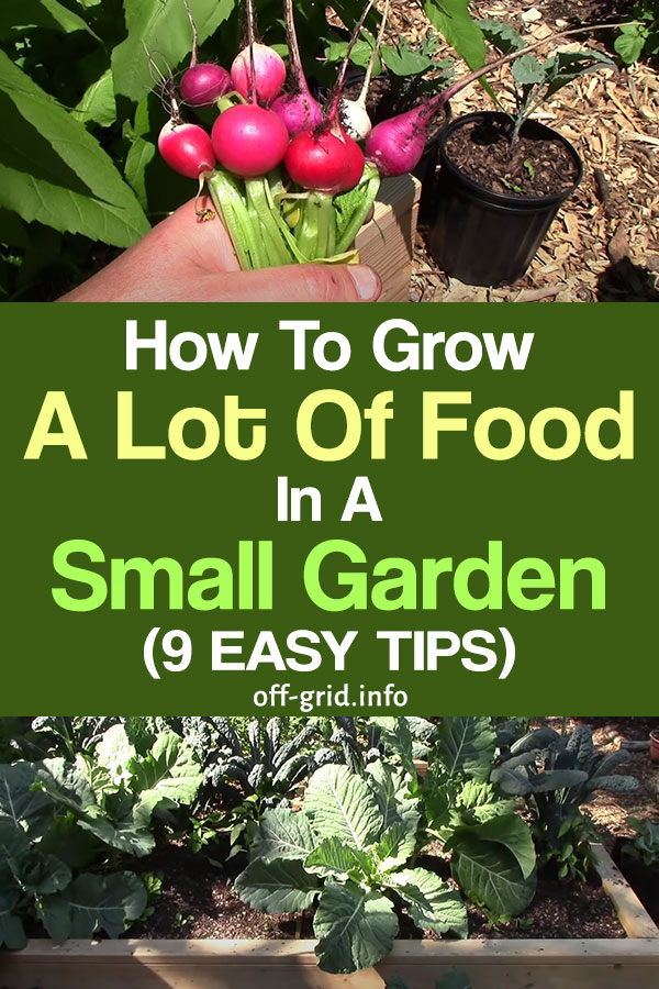 How To Grow A Lot Of Food In A Small Garden - 9 Easy Tips