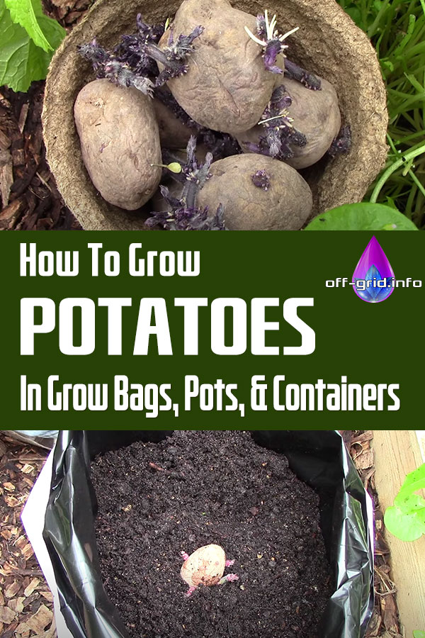 How To Grow Potatoes In Grow Bags, Pots, & Containers