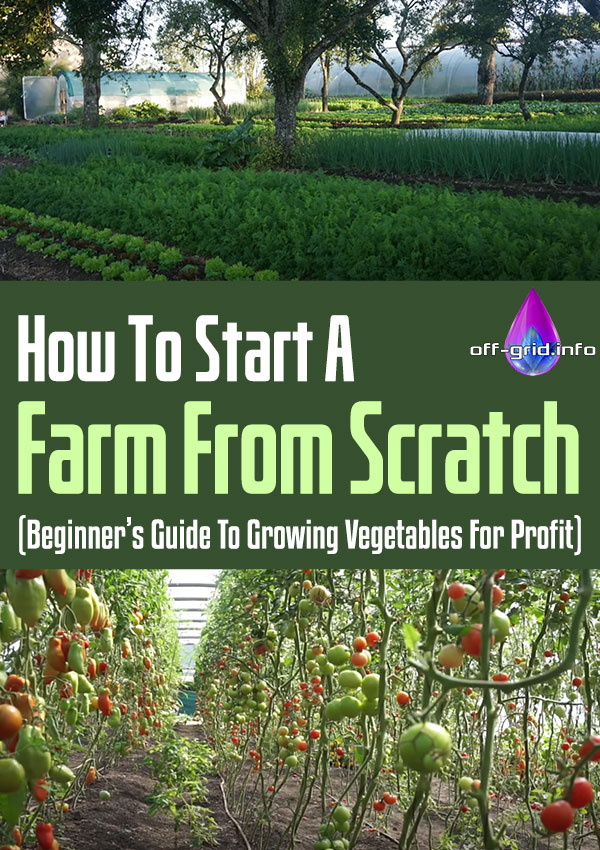 How To Start A Farm From Scratch (Beginner's Guide To Growing Vegetables For Profit)