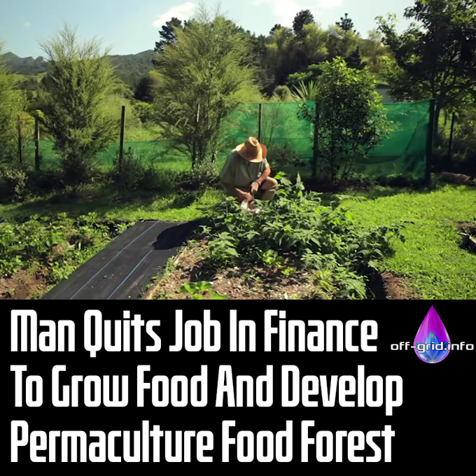 Man Quits Job In Finance To Grow Food And Develop Permaculture Food Forest