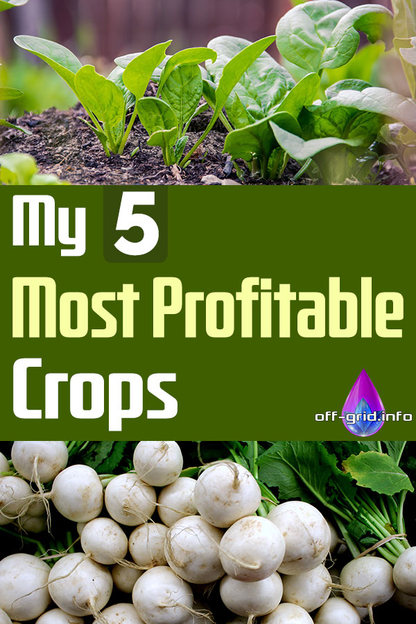 My 5 Most Profitable Crops