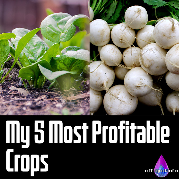 My 5 Most Profitable Crops 