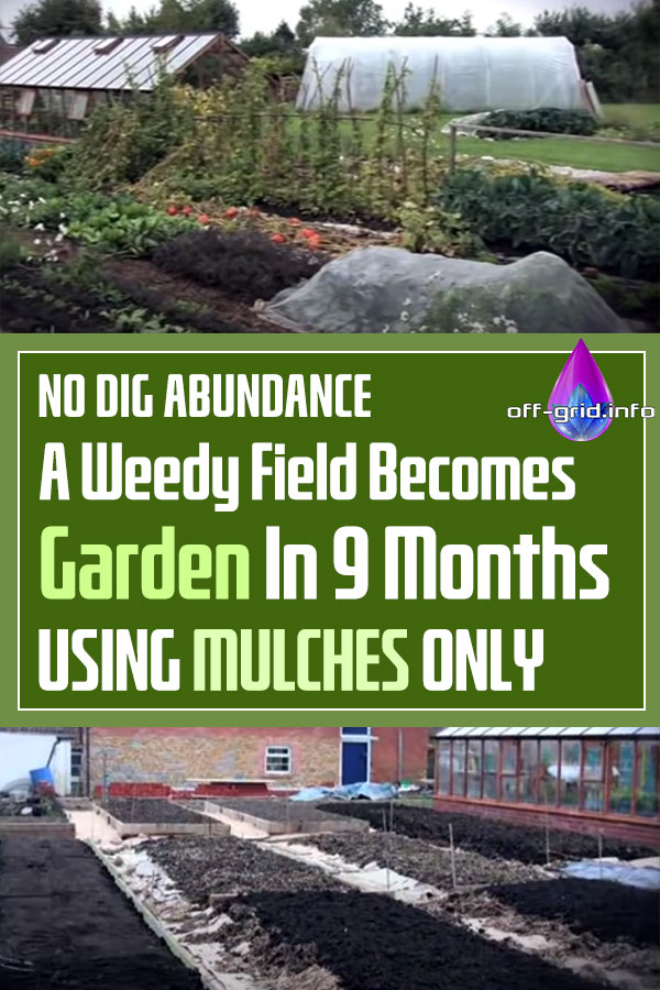 NO DIG ABUNDANCE, A Weedy Field Becomes Garden In 9 Months, Using Mulches Only
