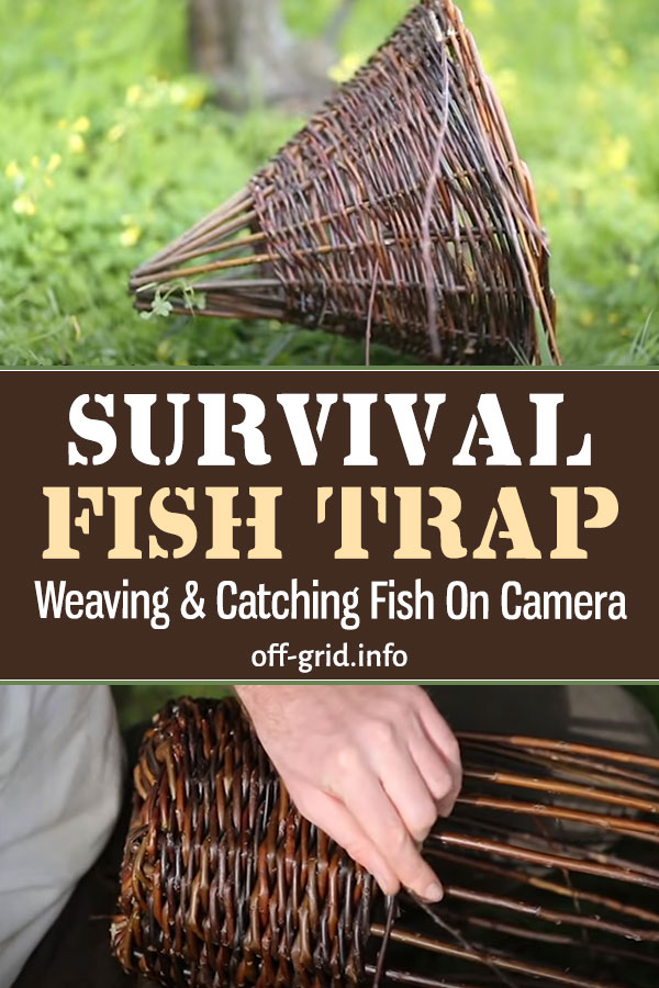 Survival Fish Trap - Weaving & Catching Fish On Camera