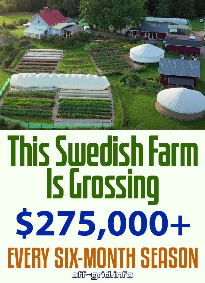 Swedish Farm Grossing $275,000+ Every Six-Month Season