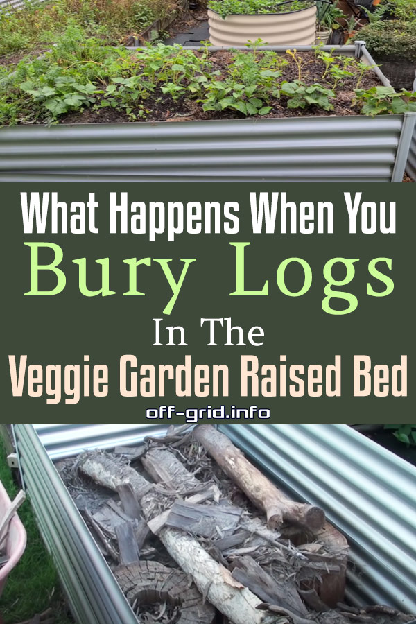 What Happens When You Bury Logs In The Veggie Garden Raised Bed