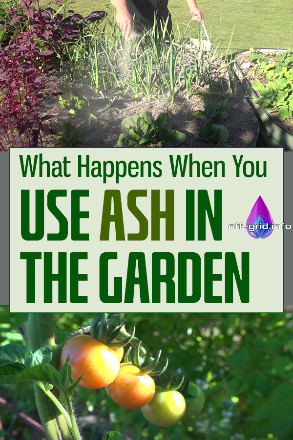 What Happens When You Use Ash In The Garden