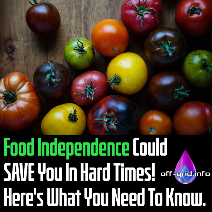 Food Independence Could Save You In Hard Times. Here's What You Need To Know