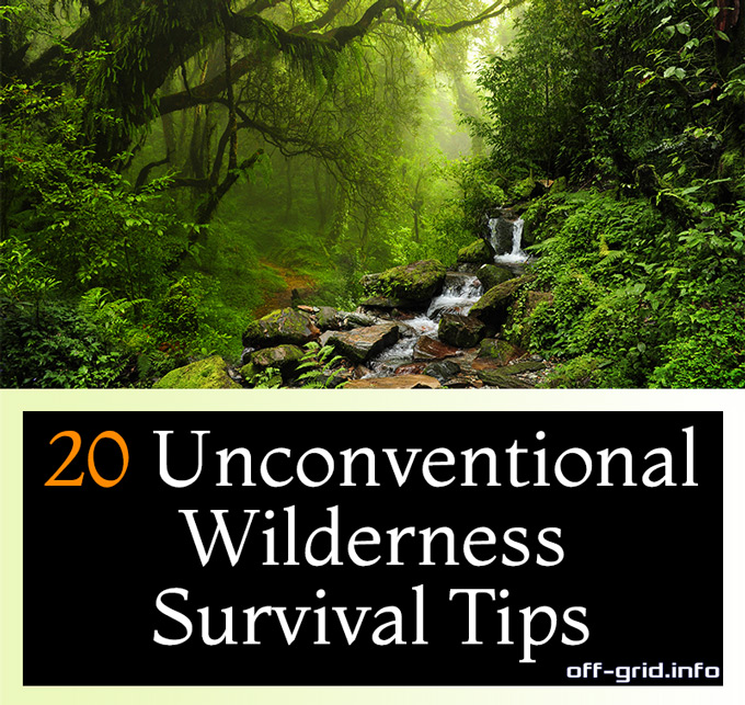 20 Unconventional Wilderness Survival Tips