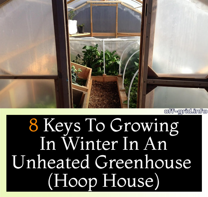 8 Keys To Growing In Winter In An Unheated Greenhouse (Hoop House)