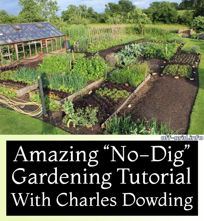 Amazing No-Dig Gardening Tutorial With Charles Dowding