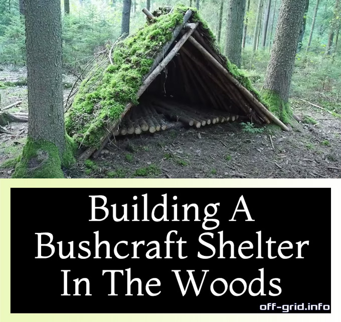 Building A Bushcraft Shelter In The Woods