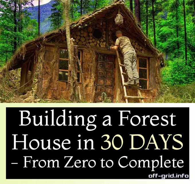 Building A Forest House In 30 Days - From Zero To Complete