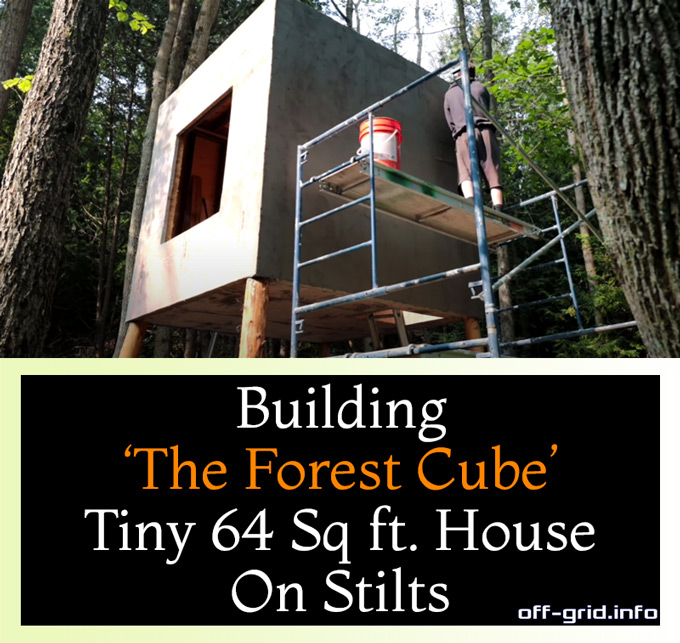 Building 'The Forest Cube' Tiny 64 Sq ft. House On Stilts