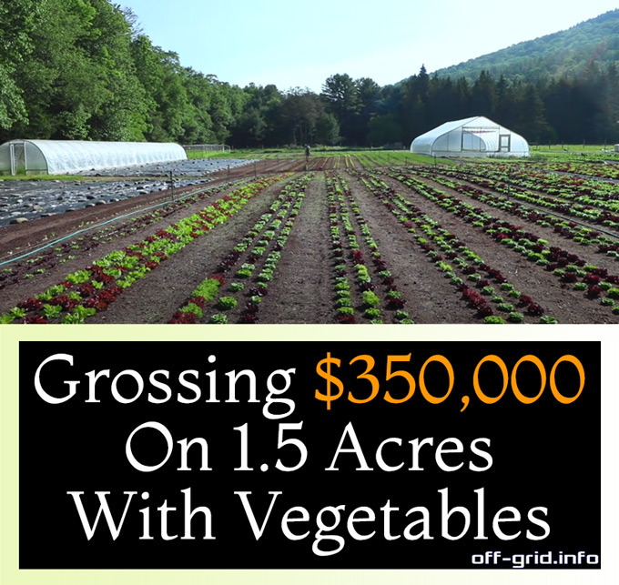 Grossing $350,000 On 1.5 Acres With Vegetables