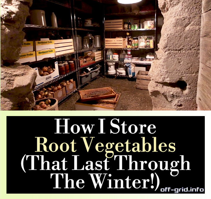 How I Store ROOT VEGETABLES (That Last Through The Winter)